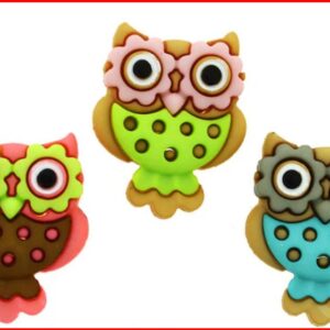 Botones  de búhos multicolor Dress it up-