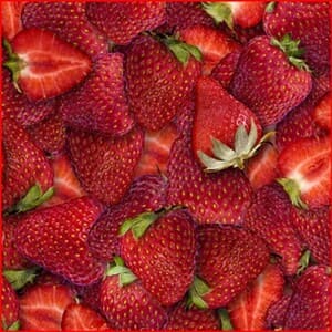 Tela  de fresas maduras.Quilting treasures