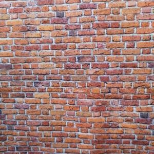 Tela de ladrillos (1.50)