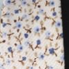 Cinta de bies de florecitas azules de 18 mm