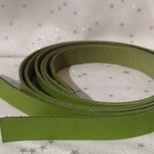 2 asas de bolso de 2 cm color naranja(60 cm largo )