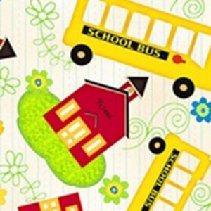 El colegio y el bus