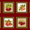 Panel de frutas variadas en cuadros