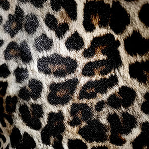 Polipiel  con motivo de leopardo.